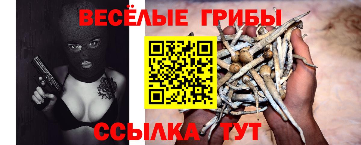 Галлюциногенные грибы прущие грибы Чусовой